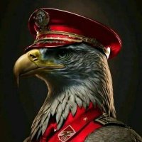 fadi Soliman (@fadi_soliman) 's Twitter Profile