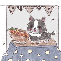 蓮 ボーダーコリー (@border_ren) 's Twitter Profile