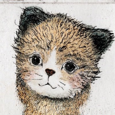 絵描き、絵本作家。猫３匹に犬２匹。ワンズは災害救助犬。