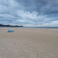 Pam Pham ❤️ Memecoin (@pampham16) 's Twitter Profile