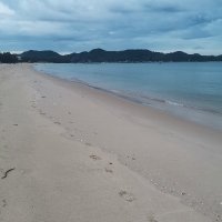 Binh Ho ❤️ Memecoin (@binhho431) 's Twitter Profile