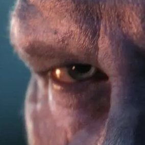 CogBlag's profile picture. 