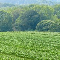 FarmLandFlow (@farmlandflow) 's Twitter Profile