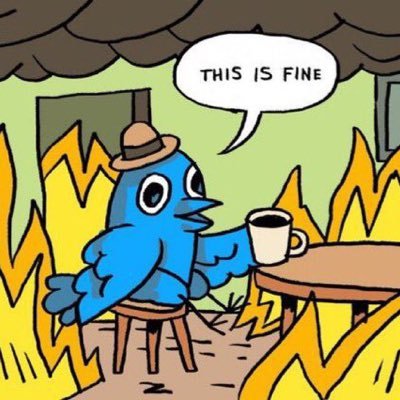 FocusedflowFlow's profile picture. 