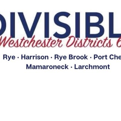 twitter account for the Indivisible activist group in Westchester County's Board of Legislators districts 6&7. 🌊 pro-democracy