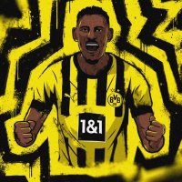 JochenBvB (@jochenb17) 's Twitter Profile