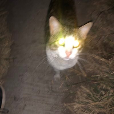 Ul1sEx7's profile picture. 