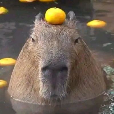✨さんのプロフィール画像