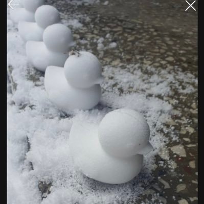 jeonju_k's profile picture. 