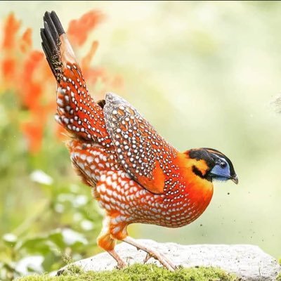 _giftlovjj's profile picture. 