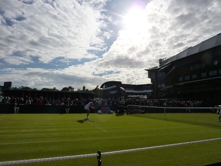 SakanaG's profile picture. 