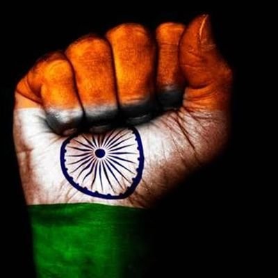 DailyDo25927945's profile picture. 