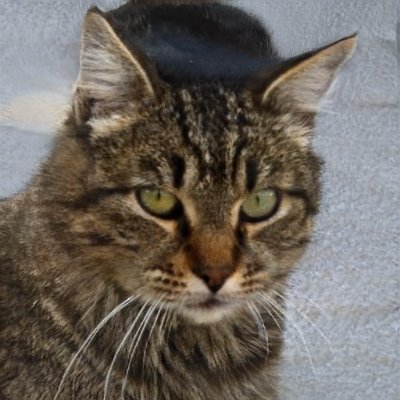 Crystal45216097's profile picture. 