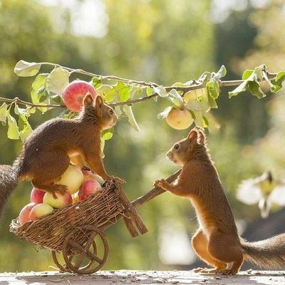 montasir6y7's profile picture. Work at @RoaaStudies