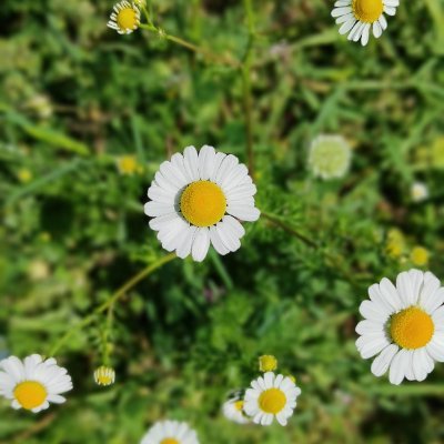 68orhan's profile picture. 