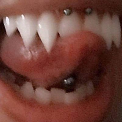 TiiwNik's profile picture. 𝙿𝚎𝚛𝚏𝚒𝚕 𝚍𝚎𝚍𝚒𝚌𝚊𝚍𝚘 𝚊 𝚙𝚞𝚝𝚊𝚛𝚒𝚊 𝚁𝚎𝚝𝚞𝚒𝚝𝚊𝚍𝚊. 🔥