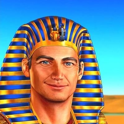 wouter320's profile image