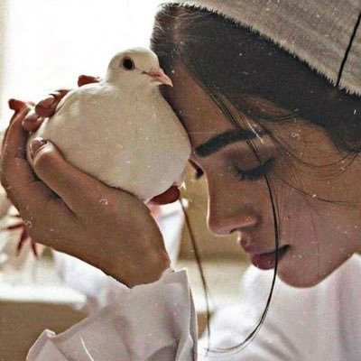 amoolx44's profile picture. عندما تذهبُ روحي أمطروا عليّ بالدّعاء🌸