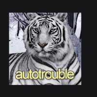 autotrouble(@ofegin) 's Twitter Profile Photo