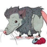 Brigitte Winter (@bwinterose) 's Twitter Profile