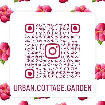 Urban Cottage Garden specialising in herbaceous perennials specially selected for qualities of low-maintenance, foliage and bloom time.