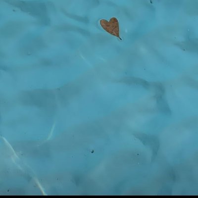 claujocelyn's profile picture. BMj'✨