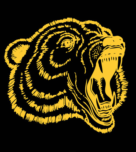 Official Twitter account for Hastings High School in @Aliefisd. Home of the Fighting Bears. Managed by campus administrators. RTs are not endorsements.