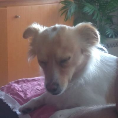 Lorenus2's profile picture. 