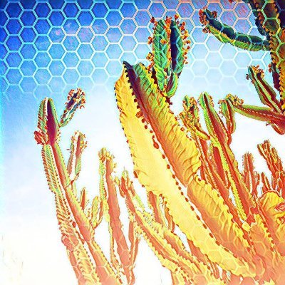 where_the_rider's profile picture. אין ציון חוץ לאיפה שאתם נמצאים.