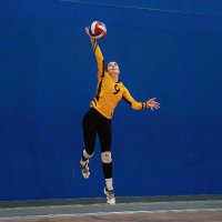 KennedeyWhitford (@kennedeywhit9) 's Twitter Profile