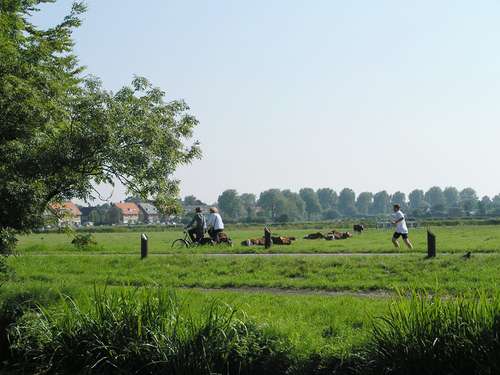 IVNGroeneLoper's profile picture. De Groene Loper betrekt bewoners actief bij hun landschap, met natuurbeleving van voortuin tot platteland.