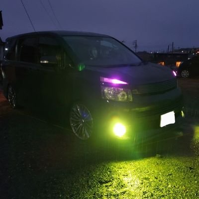 grQRbRTpcLaEa0q's profile picture. 🔰