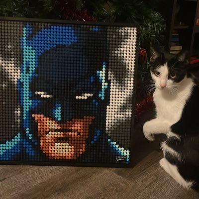 JoshuaMelchor8's profile picture. 