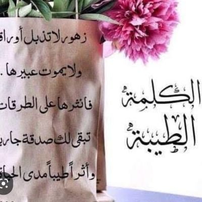 فانيه فكن انسان. ☘️. مصري يحترم الاخر. عاشق للوطن.لا أجيد رد الكلمة الجارحة بمثلها فأنا لا أجيد السباحة في الوحل