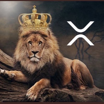 XRP valmirkdemattos