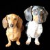 🐾Lena the Dachshund & Brofur Ace Doxie🐾 (@kalindadoxie) Twitter profile photo 🐾Lena the Dachshund & Brofur Ace Doxie🐾 (@kalindadoxie) Twitter profile photo