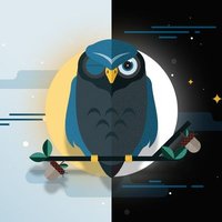 Kozmik Gece Kuşu (@cosmicnightowl) Twitter profile photo