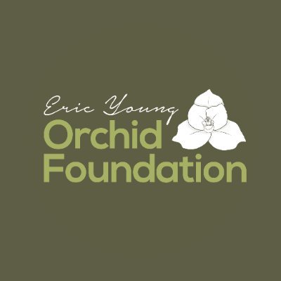 EYOrchid Profile Picture