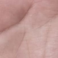 lslfsjfsmj's profile picture. q pro