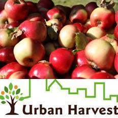leedsharvest's profile picture. Leeds Urban Harvest is a voluntary run project that collects & distributes soft fruits that grow unharvested around our city both public and private spaces.