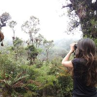 Marina Sentís (@marinasentis) Twitter profile photo