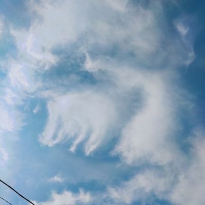 mrsgrumpy_'s profile picture. 