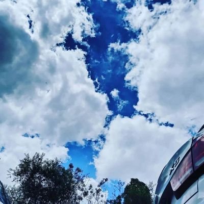 mohand_al_ahmed's profile picture. واحدة من المهارات الرئيسية في الحياة أن تعرف ما يجب إهماله