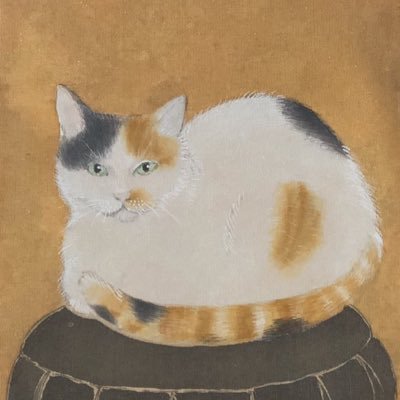 竹中 晶子(妄想ハクビシン)さんのプロフィール画像