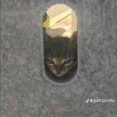 Ij0nathanI's profile picture. 