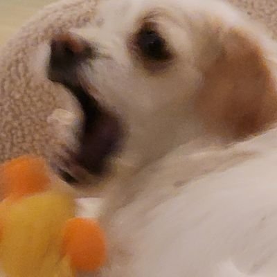 ilikespacelmao's profile picture. posting stupid shit. autistic dxed