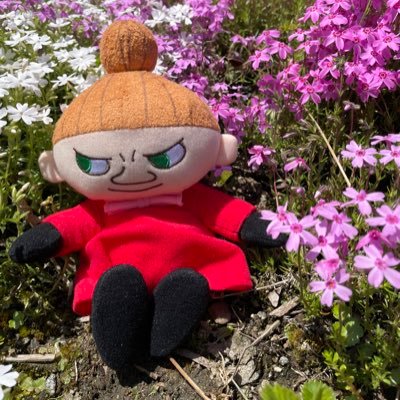 lillamySIENTA's profile picture. シエンタHV7人乗りＺを1月に契約して1年待ち… の予定でしたが半年で納車しました！170系前期HVからの乗り換えです◡̈無言フォロー失礼します