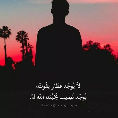 haldhkry41's profile picture. 