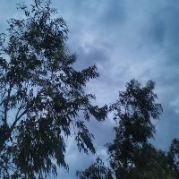 My Tran ❤️ Memecoin (@mytran353) 's Twitter Profile