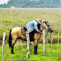 Carlos Florez (@carlosf36087986) 's Twitter Profile